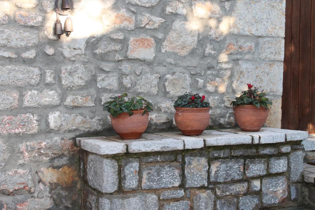 Guesthouse Karahalios Polydrosos Exterior foto